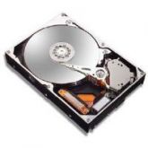 HD SATA3 P 1TB 7200RPM 64MB WESTERN DIGITAL WD10EZEX